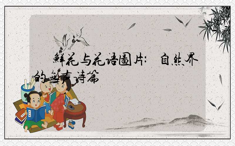 鲜花与花语图片:自然界的无声诗篇